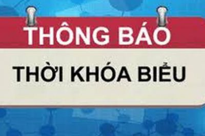 THỜI KHÓA BIỂU NĂM HỌC 2024-2025